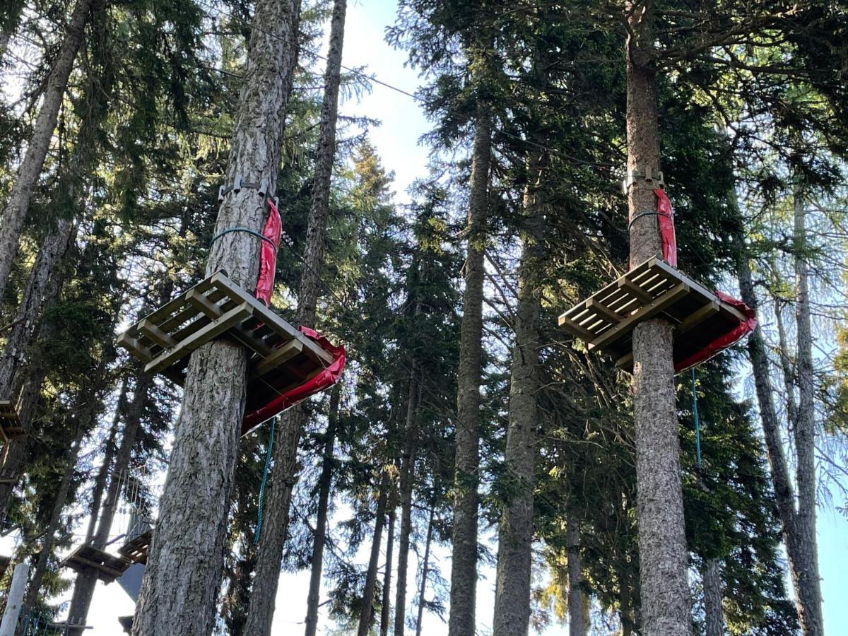 Hundefreundliche Bergwohnung Neben Der Skipiste - Mittelstation Skigebiet Gerlitzen Kanzelhohe Exterior photo